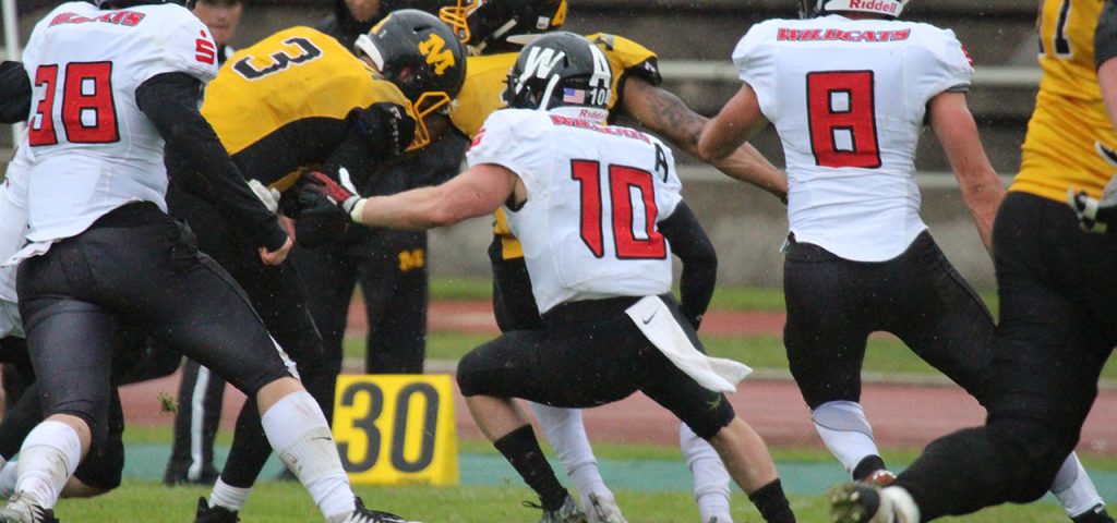 Wildcats holen Punkt in München