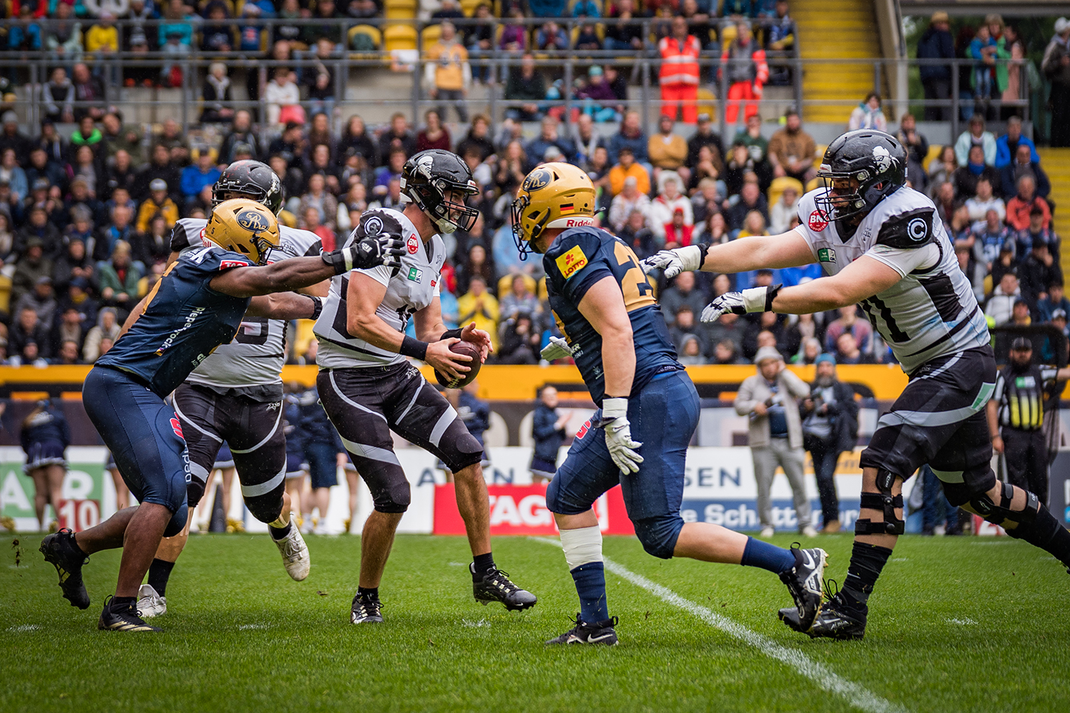 Dresden Monarchs vs Berlin Rebels